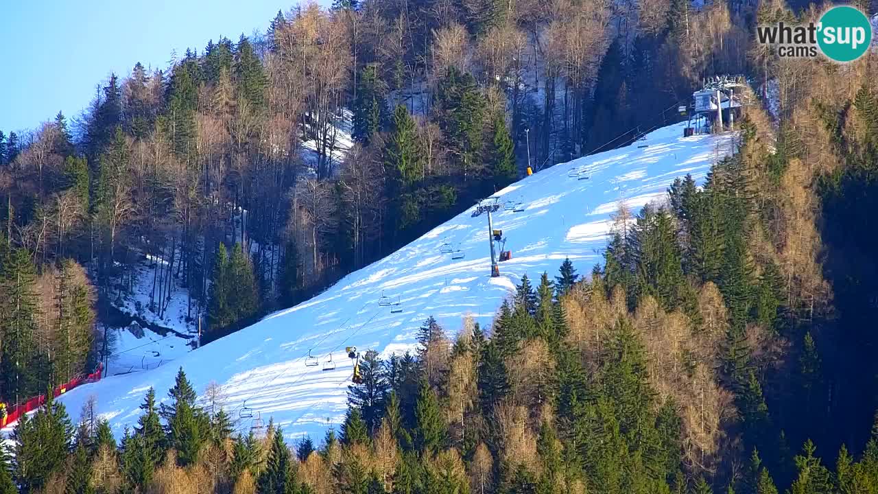RTC Kranjska Gora | Velika Dolina