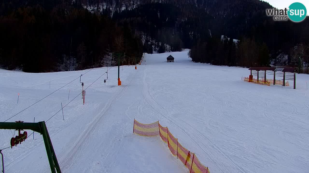 Skigebiet Kranjska Gora | Velika Dolina