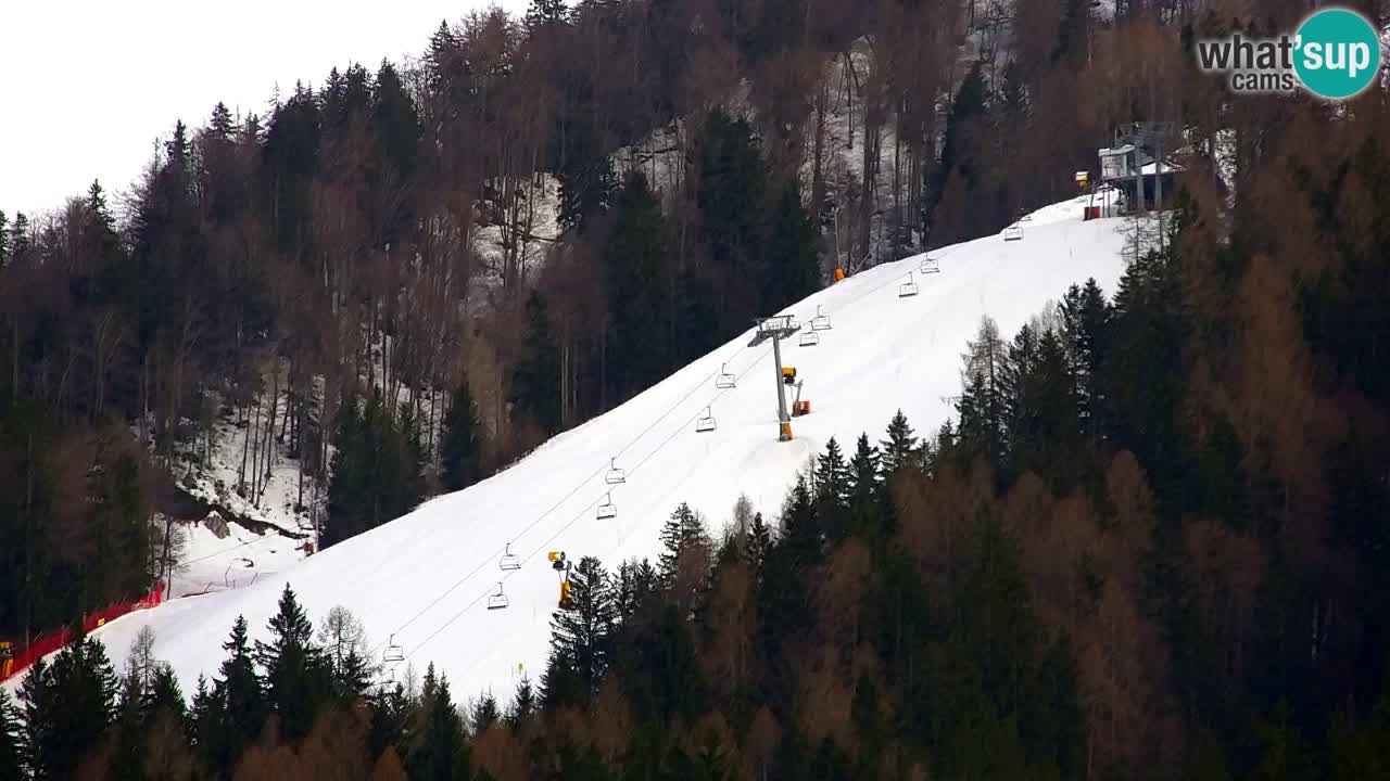 Kranjska Gora | Velika Dolina