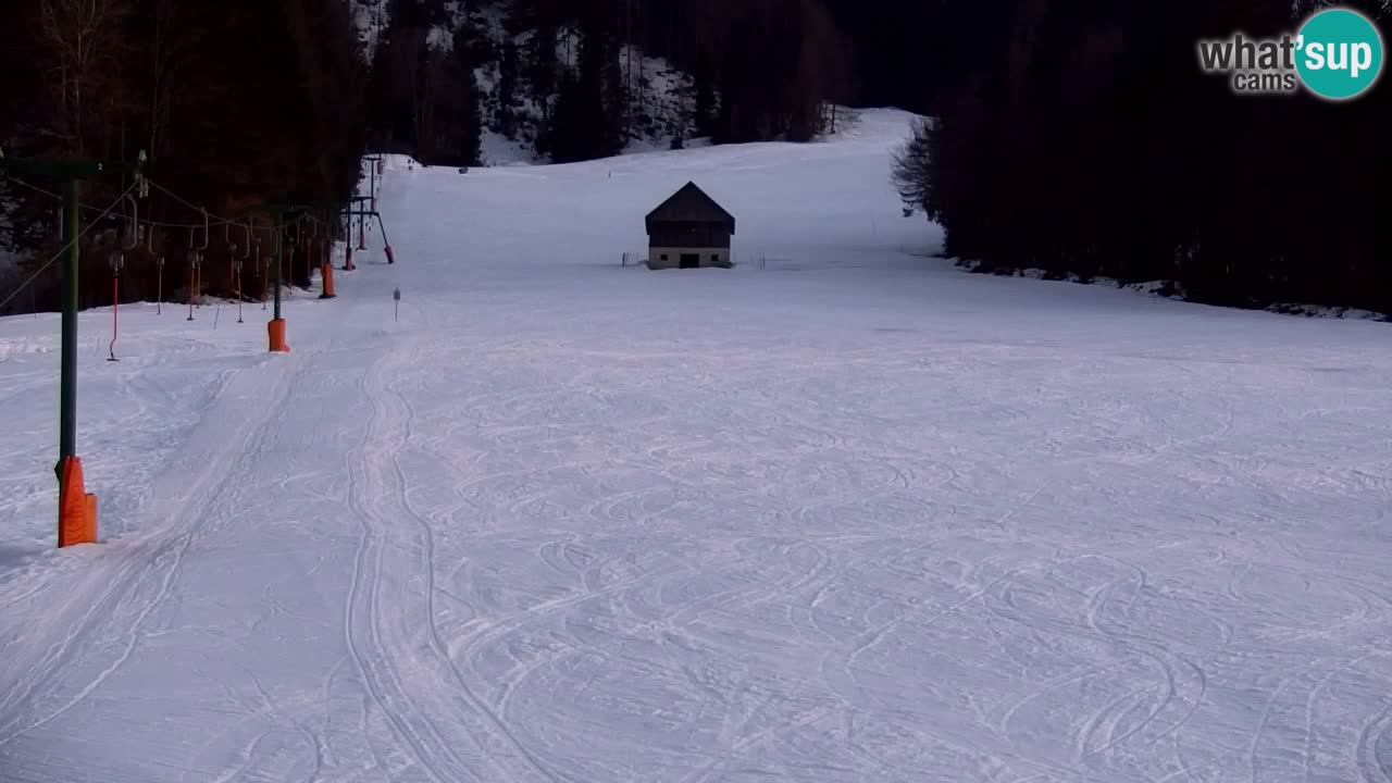 Skigebiet Kranjska Gora | Velika Dolina