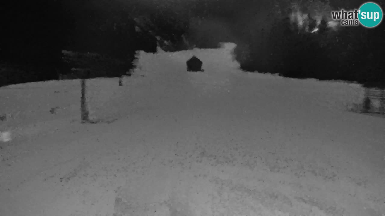 Skigebiet Kranjska Gora | Velika Dolina