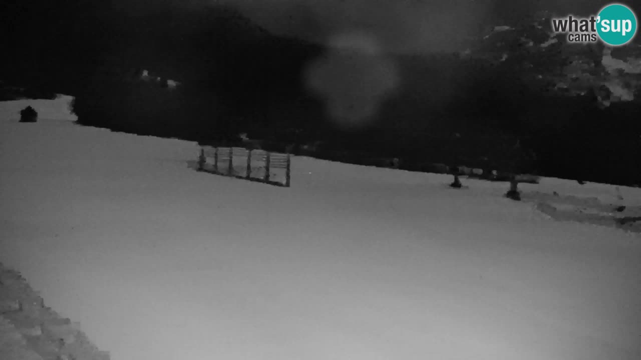 Ski Kranjska Gora | Velika Dolina