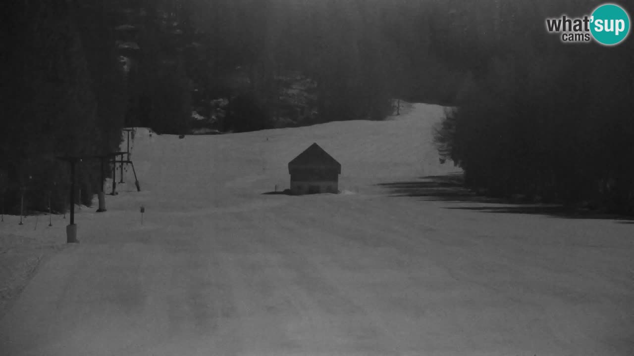 Ski Kranjska Gora | Velika Dolina