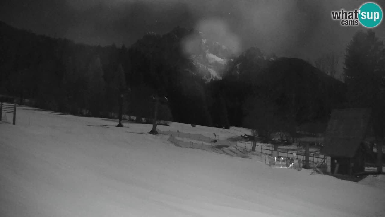 Ski Kranjska Gora | Velika Dolina