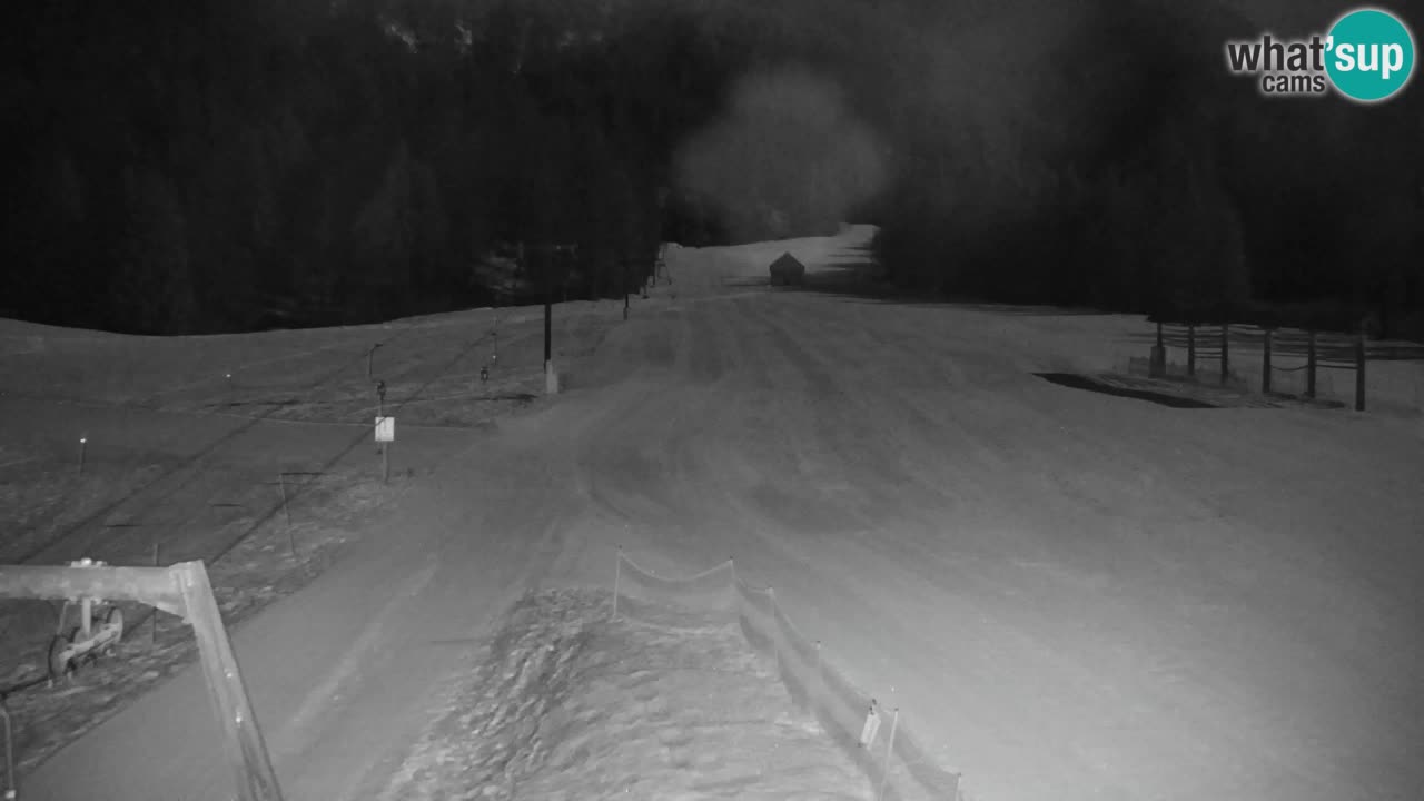 Ski Kranjska Gora | Velika Dolina