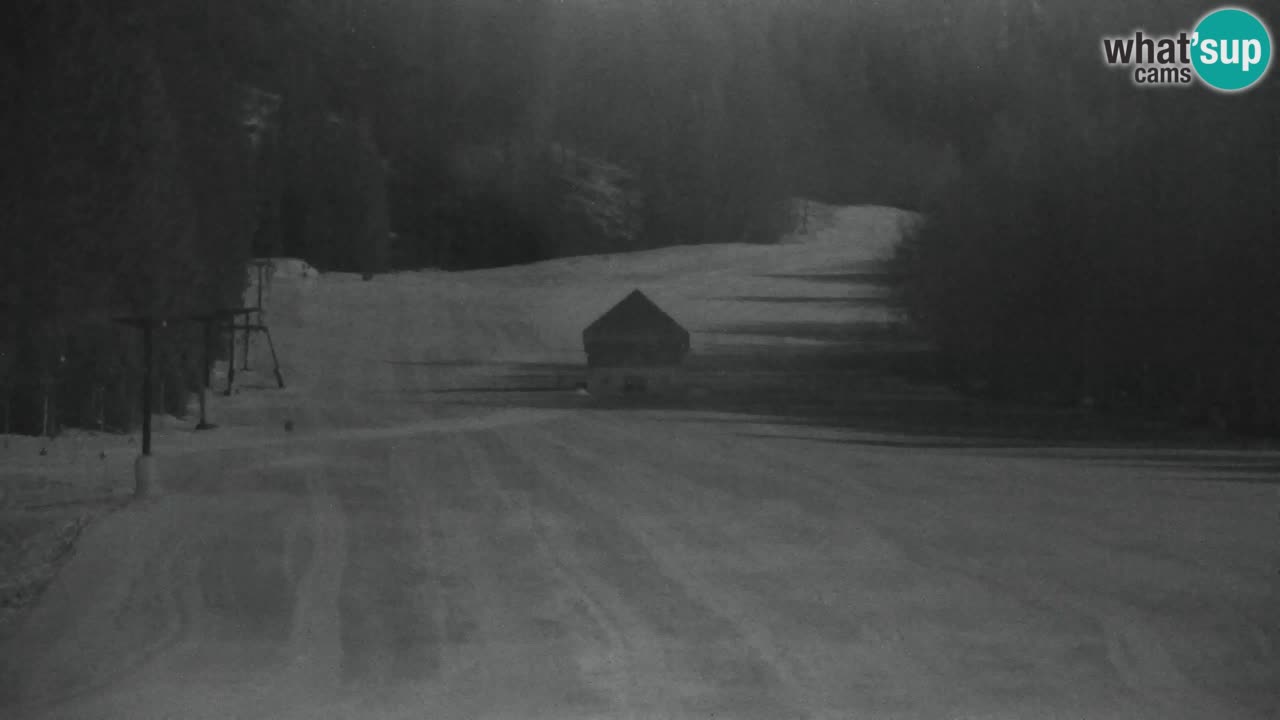 Skijanje Kranjska Gora | Velika Dolina