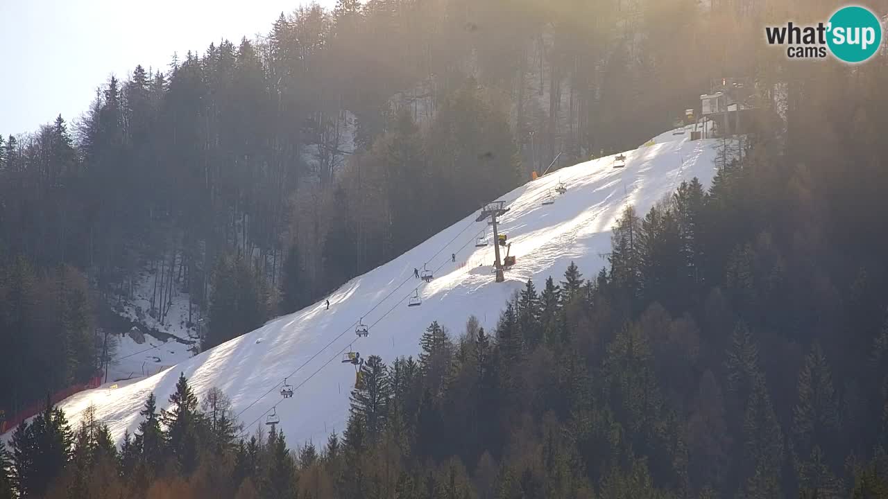 RTC Kranjska Gora | Velika Dolina