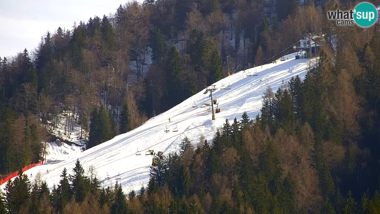 Estación de esquí Kranjska Gora | Velika Dolina