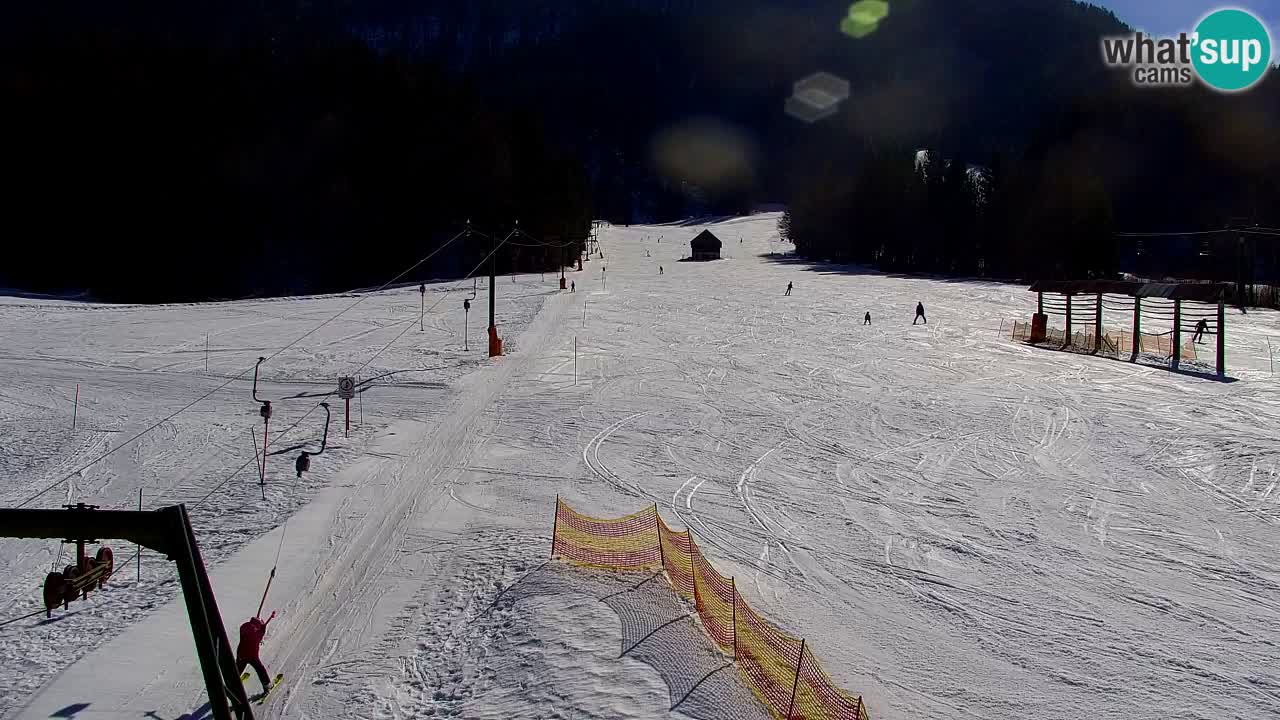 Skigebiet Kranjska Gora | Velika Dolina