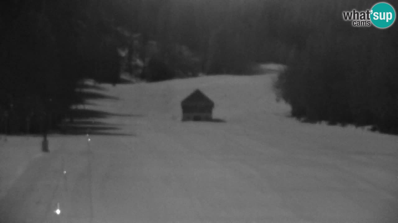 RTC Kranjska Gora | Velika Dolina