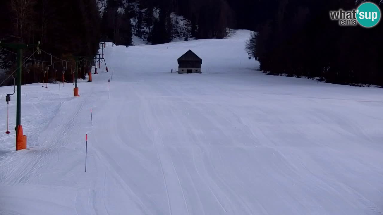 Estación de esquí Kranjska Gora | Velika Dolina
