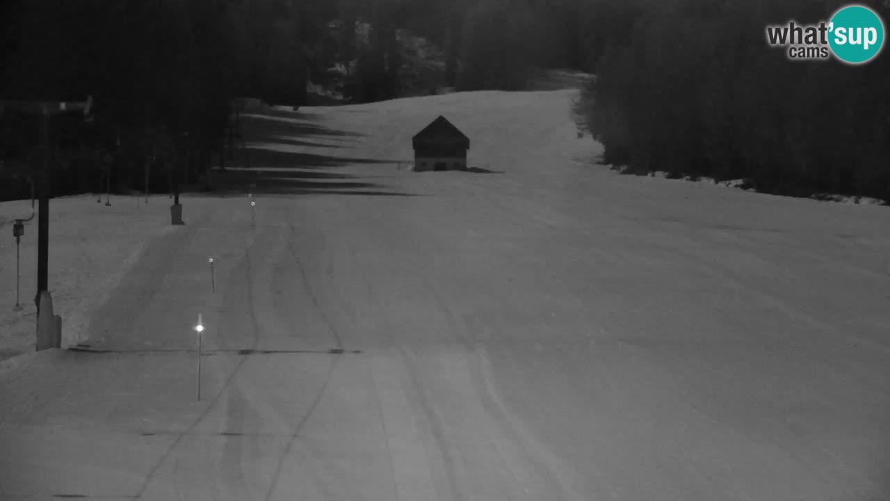 Skijanje Kranjska Gora | Velika Dolina