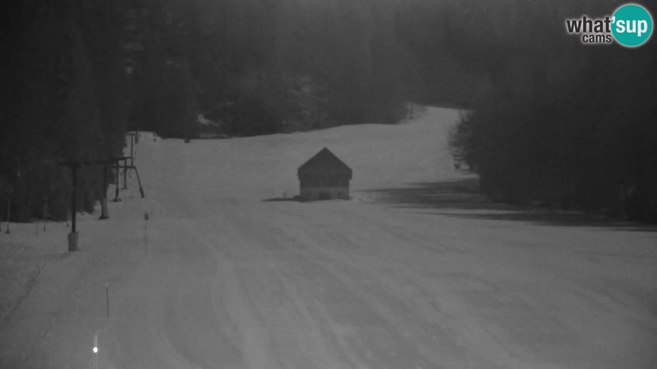 Skigebiet Kranjska Gora | Velika Dolina
