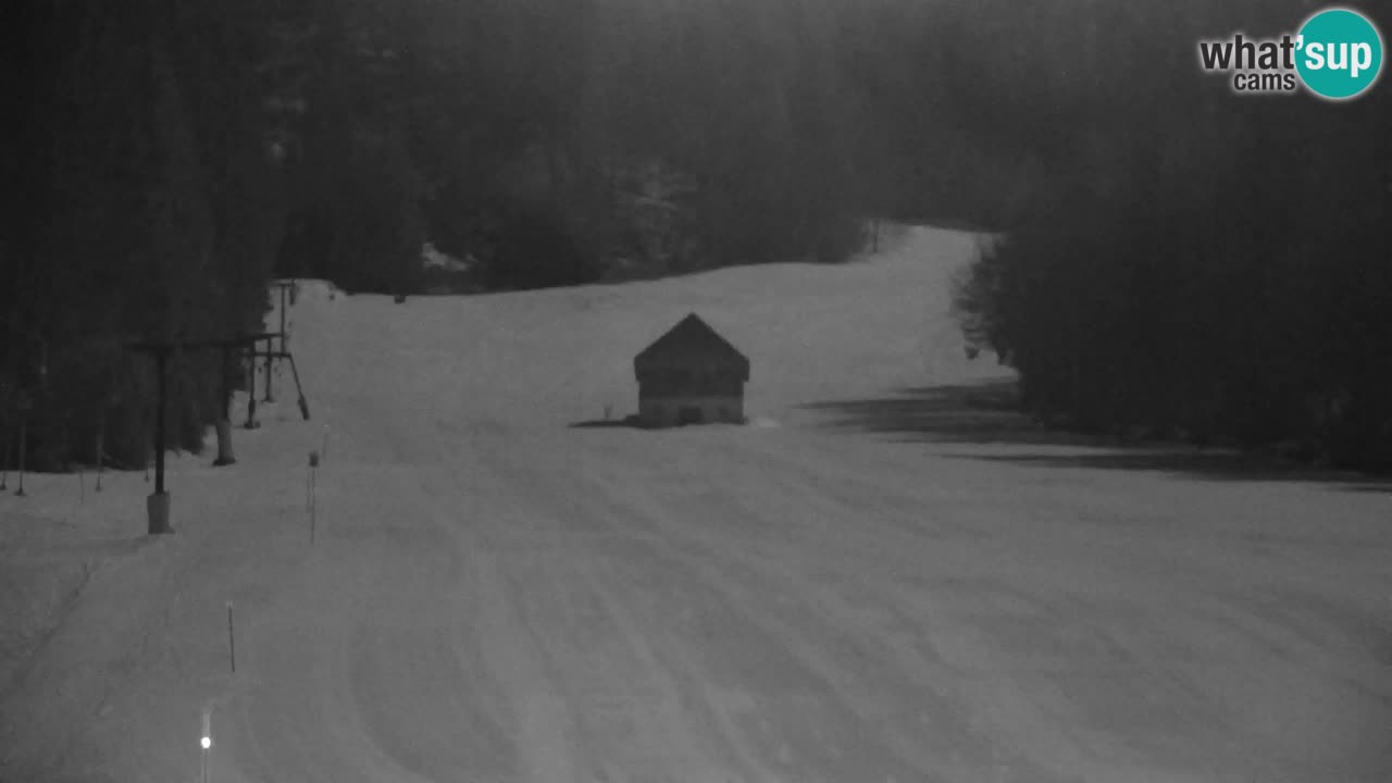 Skijanje Kranjska Gora | Velika Dolina