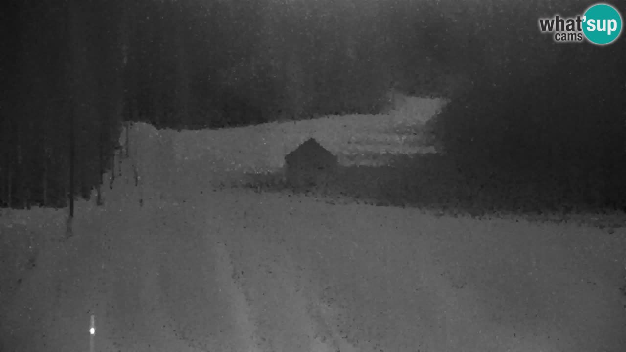 Ski Kranjska Gora | Velika Dolina