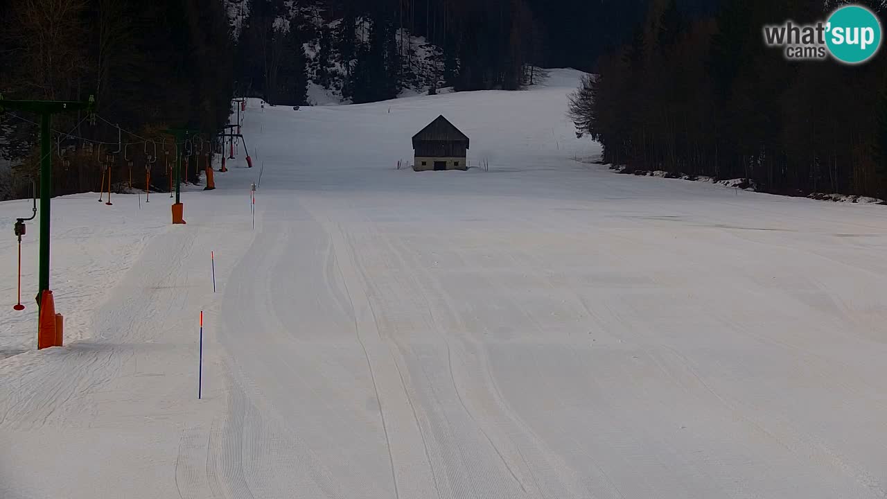 Ski Kranjska Gora | Velika Dolina