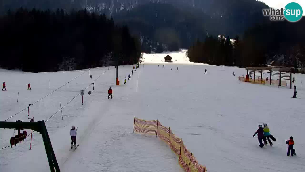 Estación de esquí Kranjska Gora | Velika Dolina