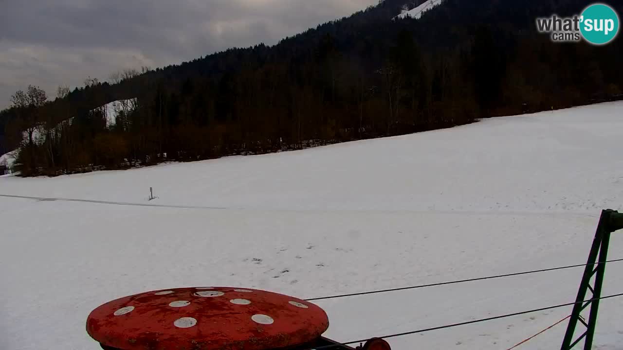 Ski Kranjska Gora | Velika Dolina