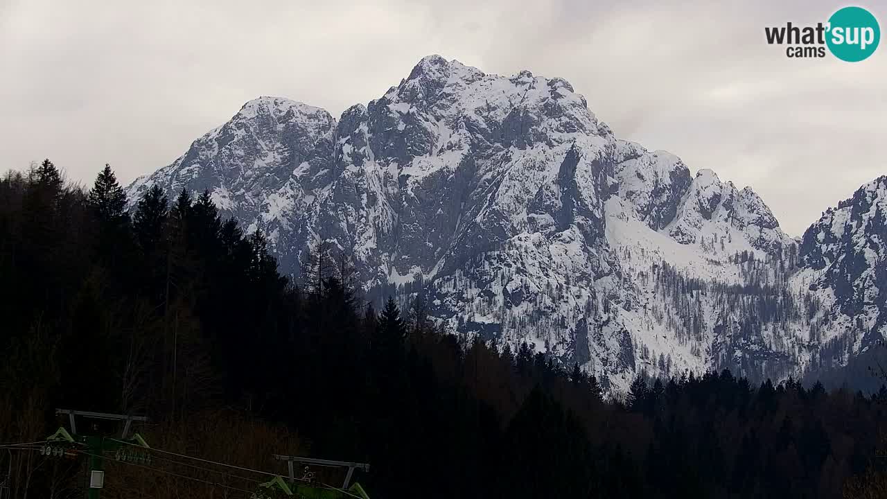 Ski Kranjska Gora | Velika Dolina