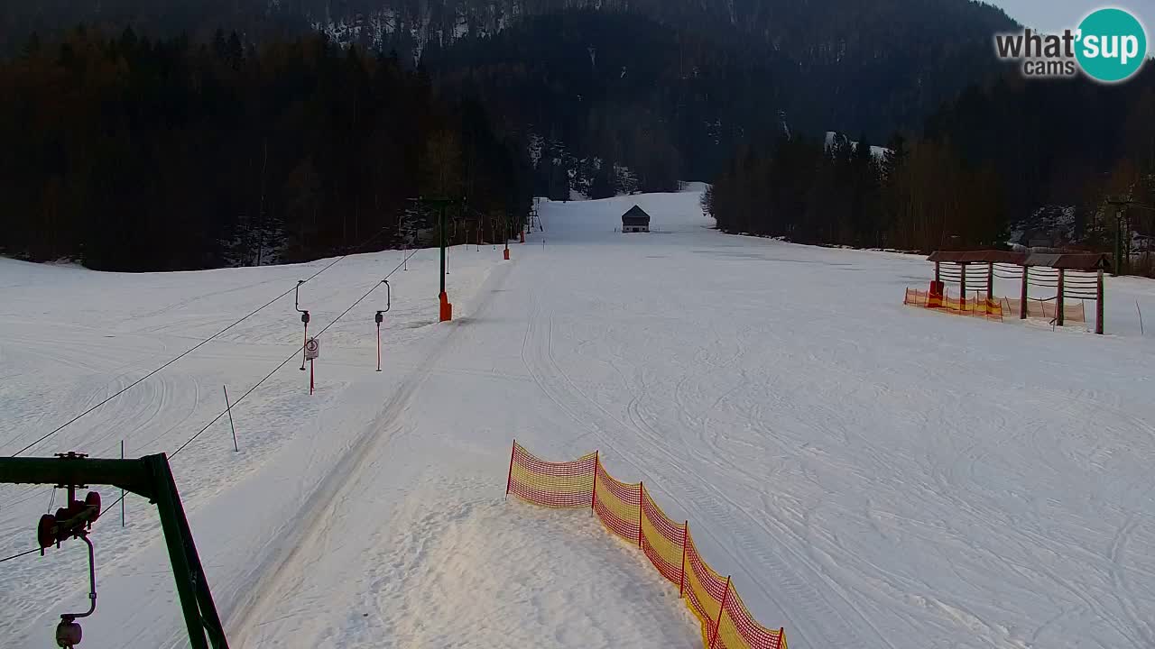 Ski Kranjska Gora | Velika Dolina