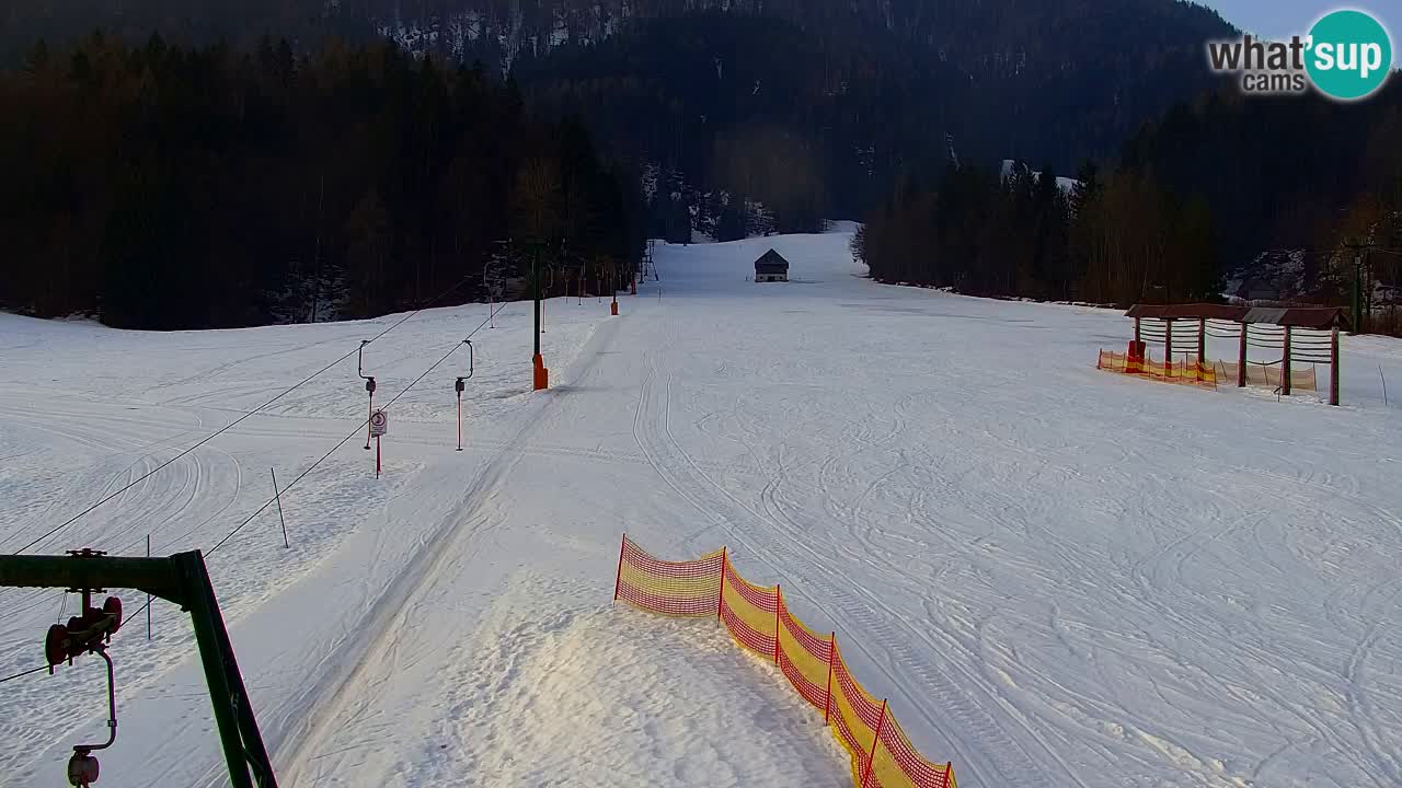 Ski Kranjska Gora | Velika Dolina