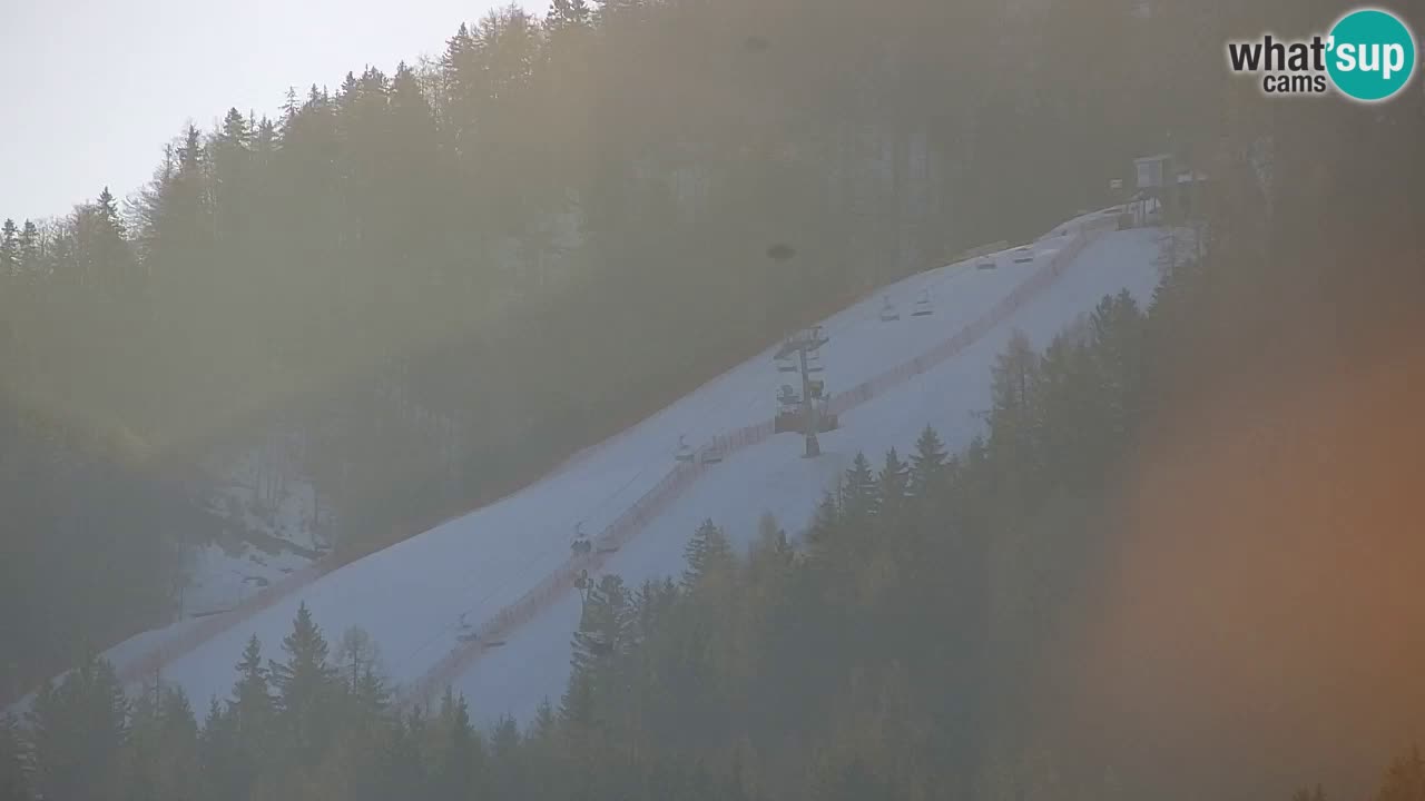 Ski Kranjska Gora | Velika Dolina
