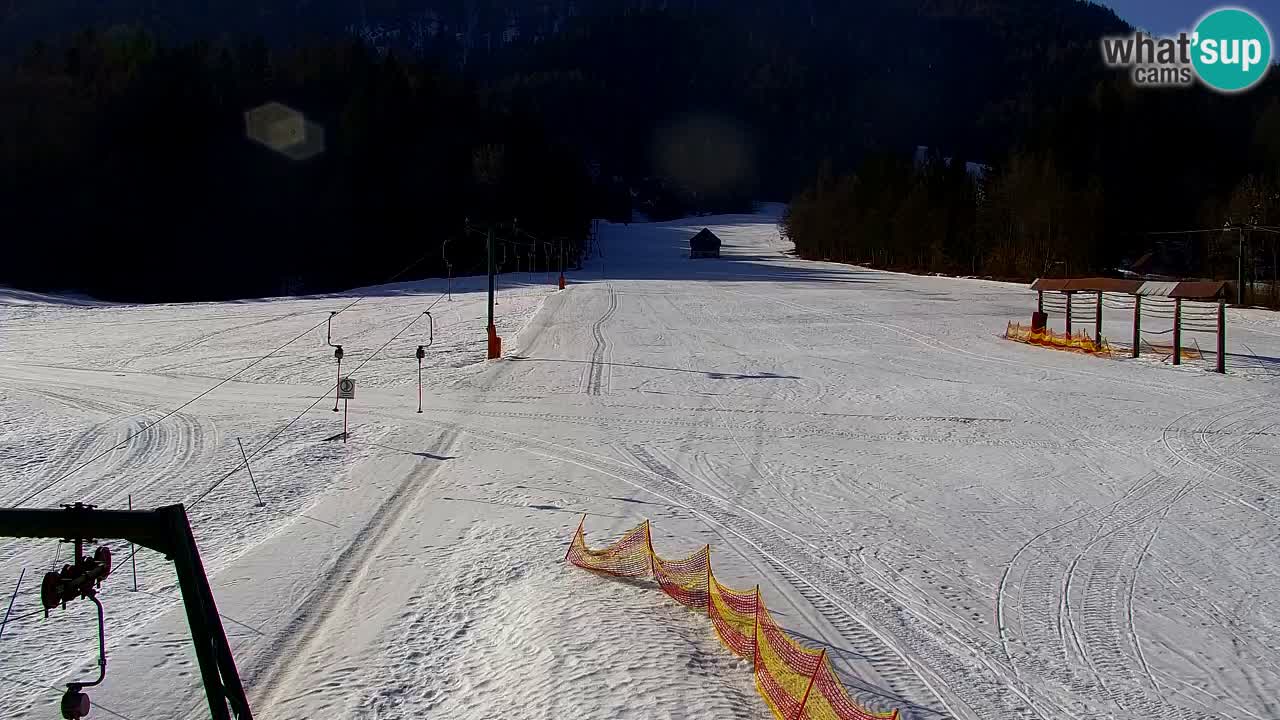 Estación de esquí Kranjska Gora | Velika Dolina