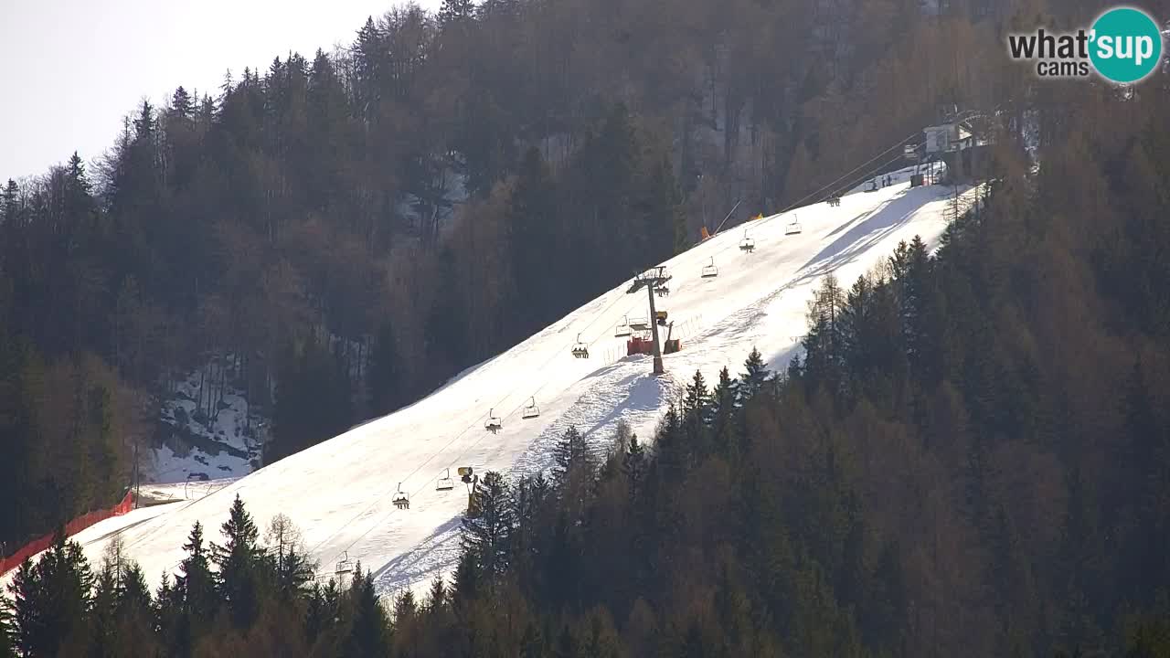 Skijanje Kranjska Gora | Velika Dolina