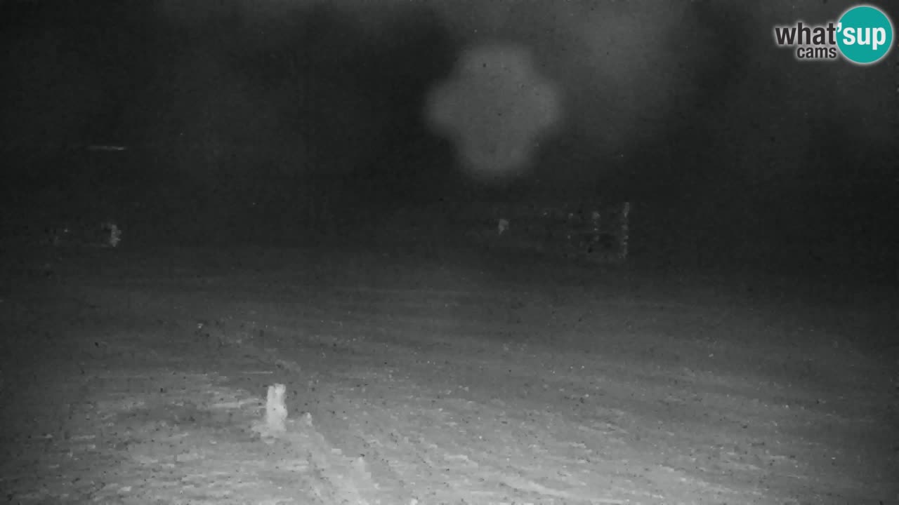 Estación de esquí Kranjska Gora | Velika Dolina