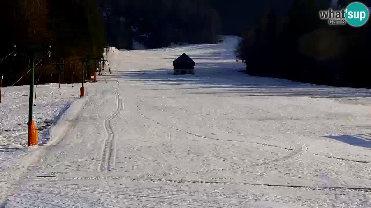Skigebiet Kranjska Gora | Velika Dolina