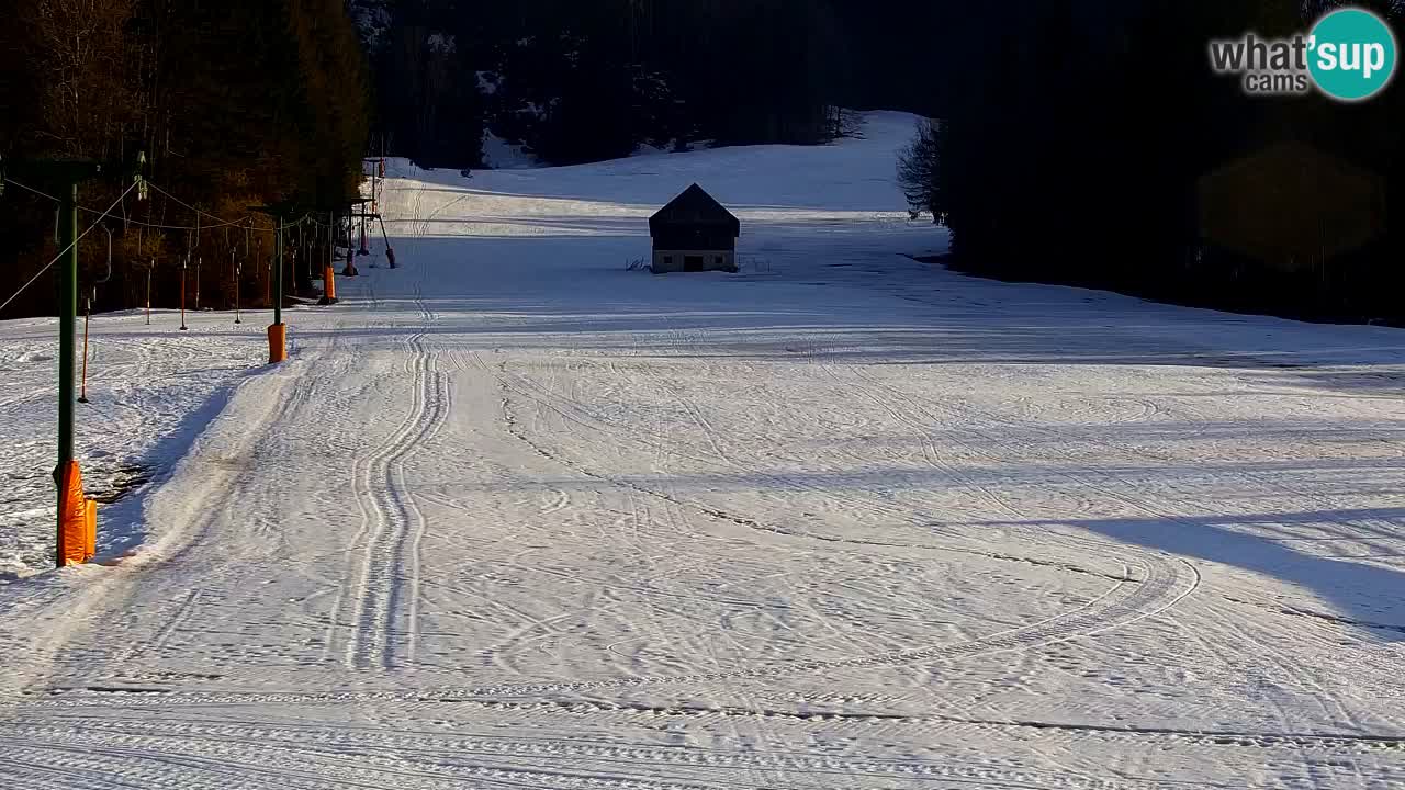 Skigebiet Kranjska Gora | Velika Dolina