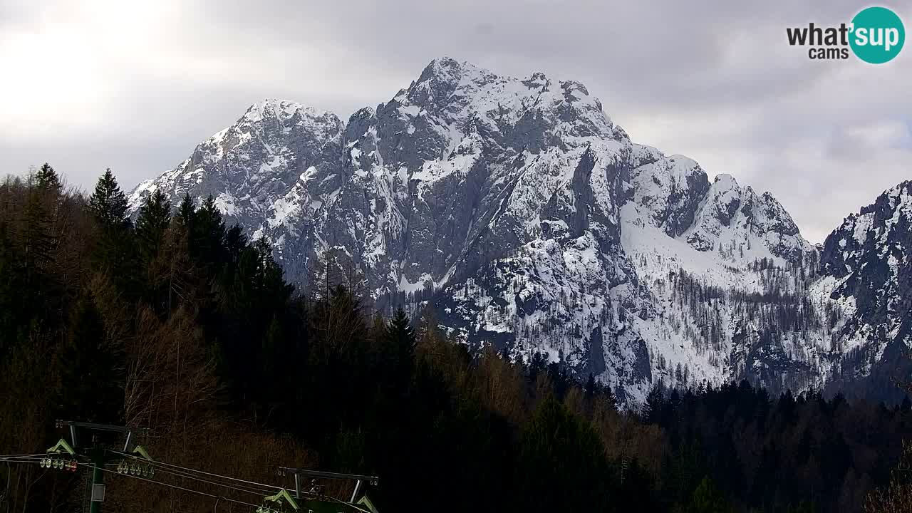 Skigebiet Kranjska Gora | Velika Dolina