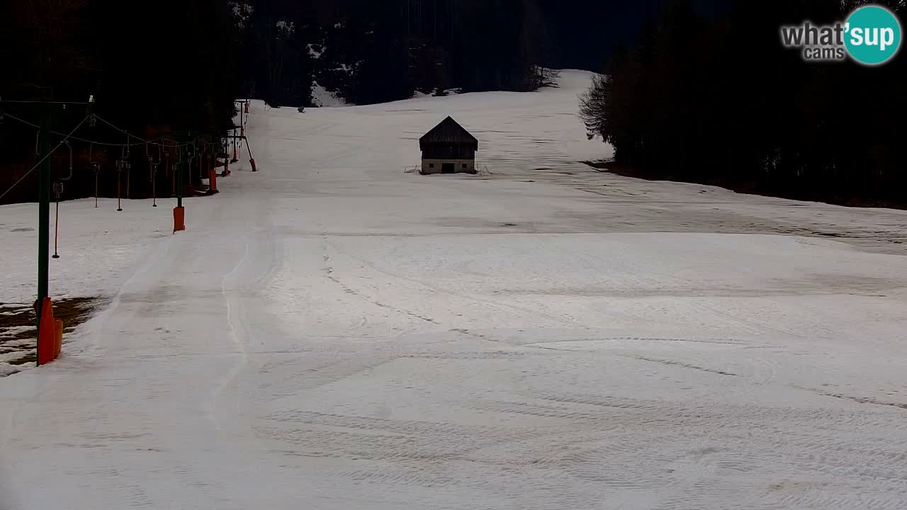 Estación de esquí Kranjska Gora | Velika Dolina