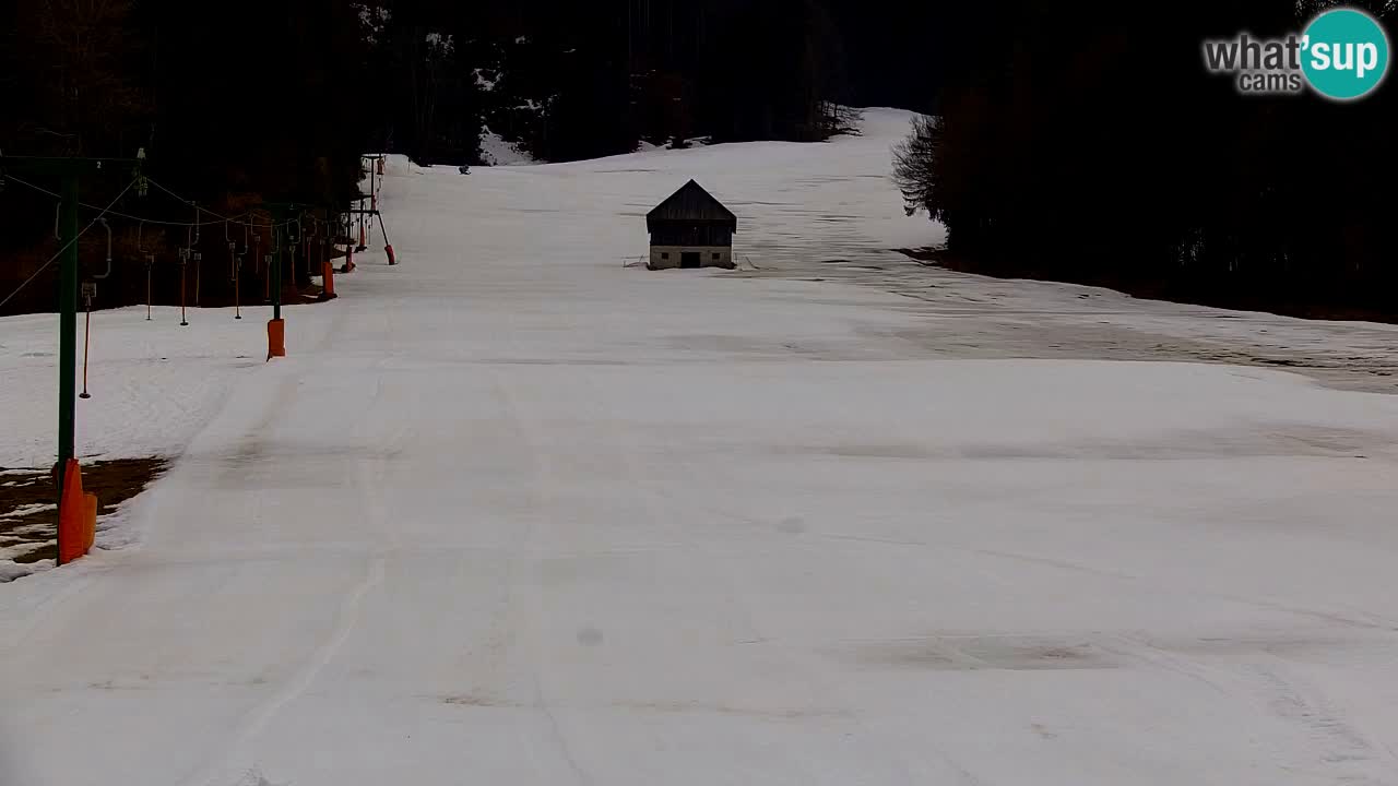 Estación de esquí Kranjska Gora | Velika Dolina