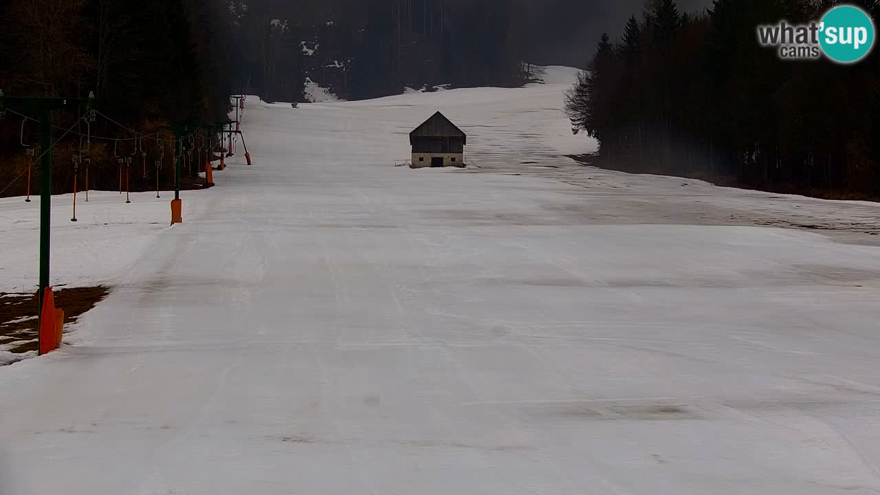 Skigebiet Kranjska Gora | Velika Dolina