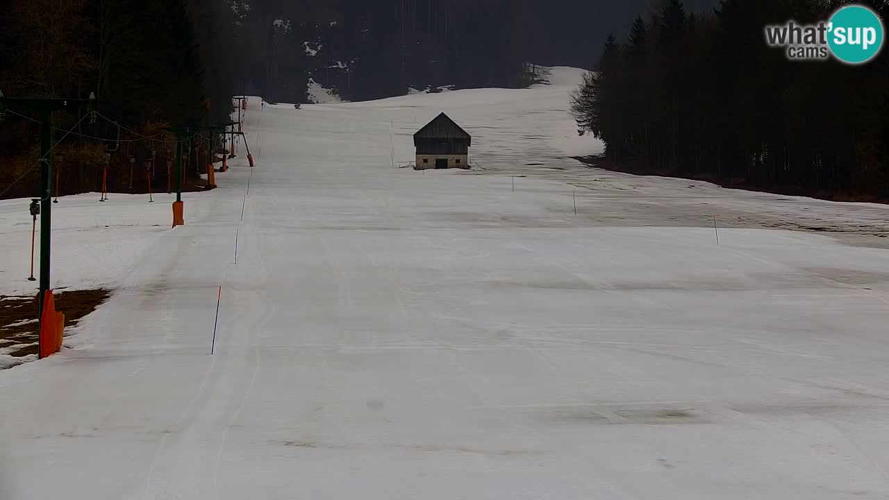 Ski Kranjska Gora | Velika Dolina