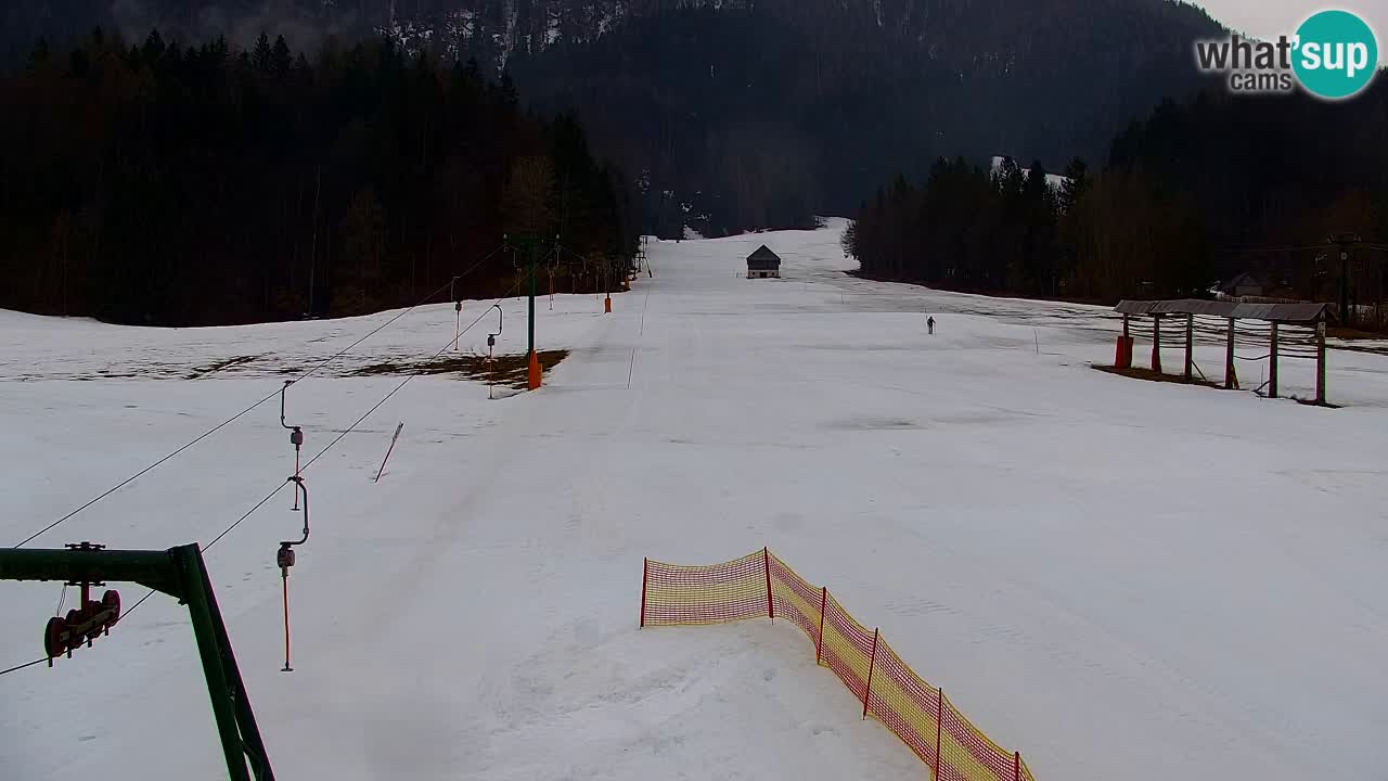Skigebiet Kranjska Gora | Velika Dolina