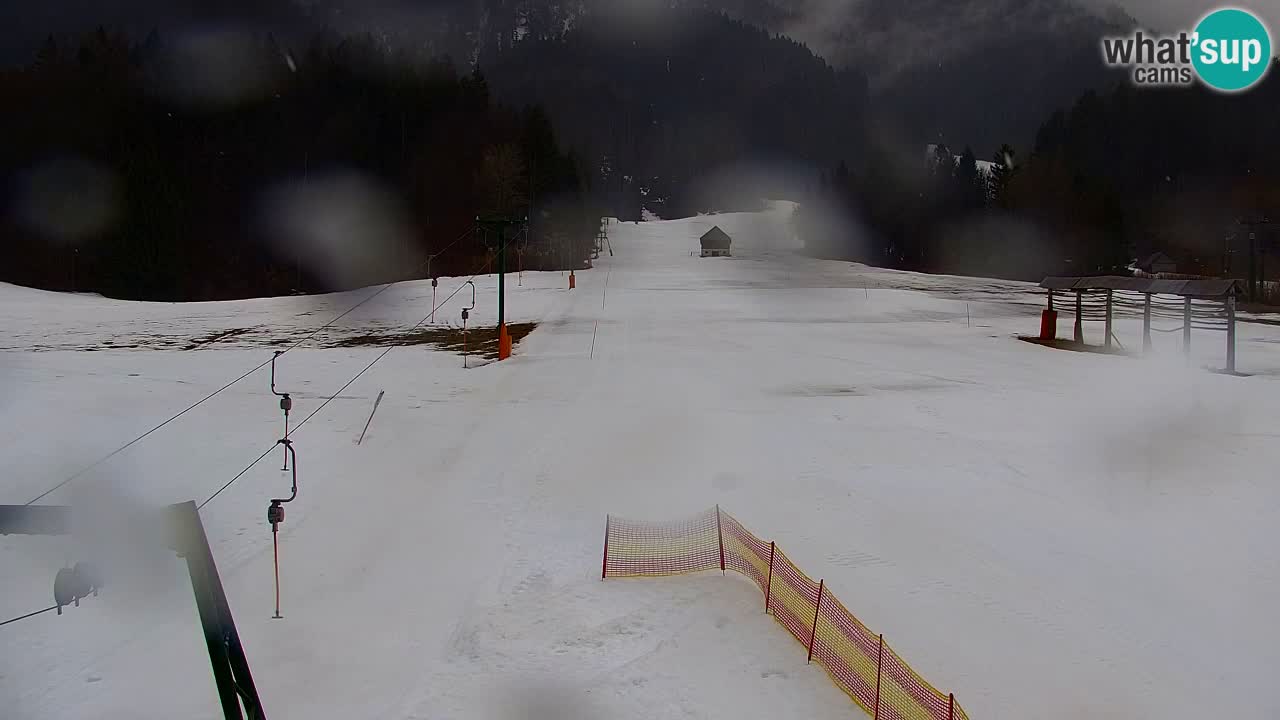 Ski Kranjska Gora | Velika Dolina