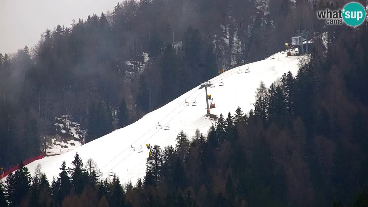 RTC Kranjska Gora | Velika Dolina