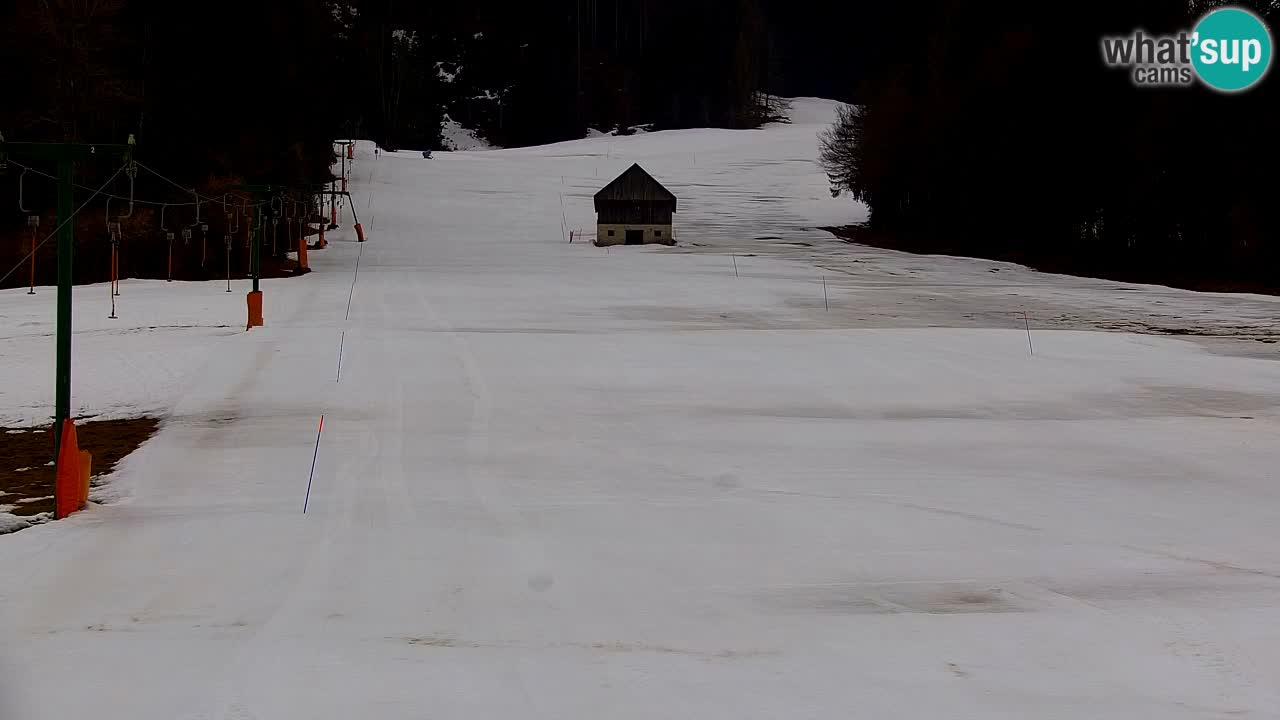 Ski Kranjska Gora | Velika Dolina