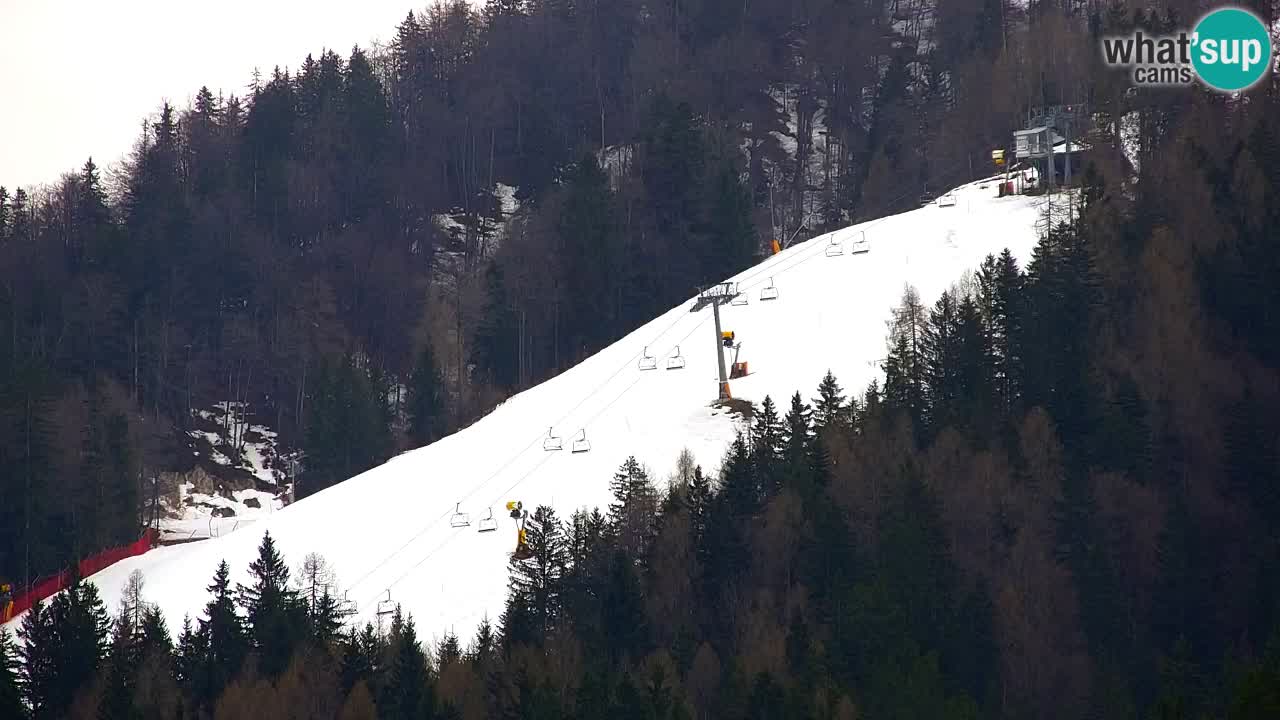 Kranjska Gora | Velika Dolina