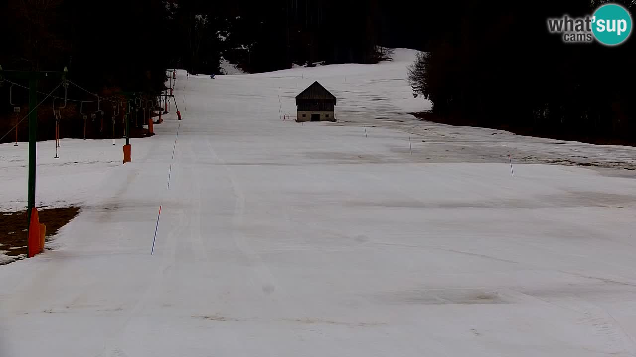 Ski Kranjska Gora | Velika Dolina