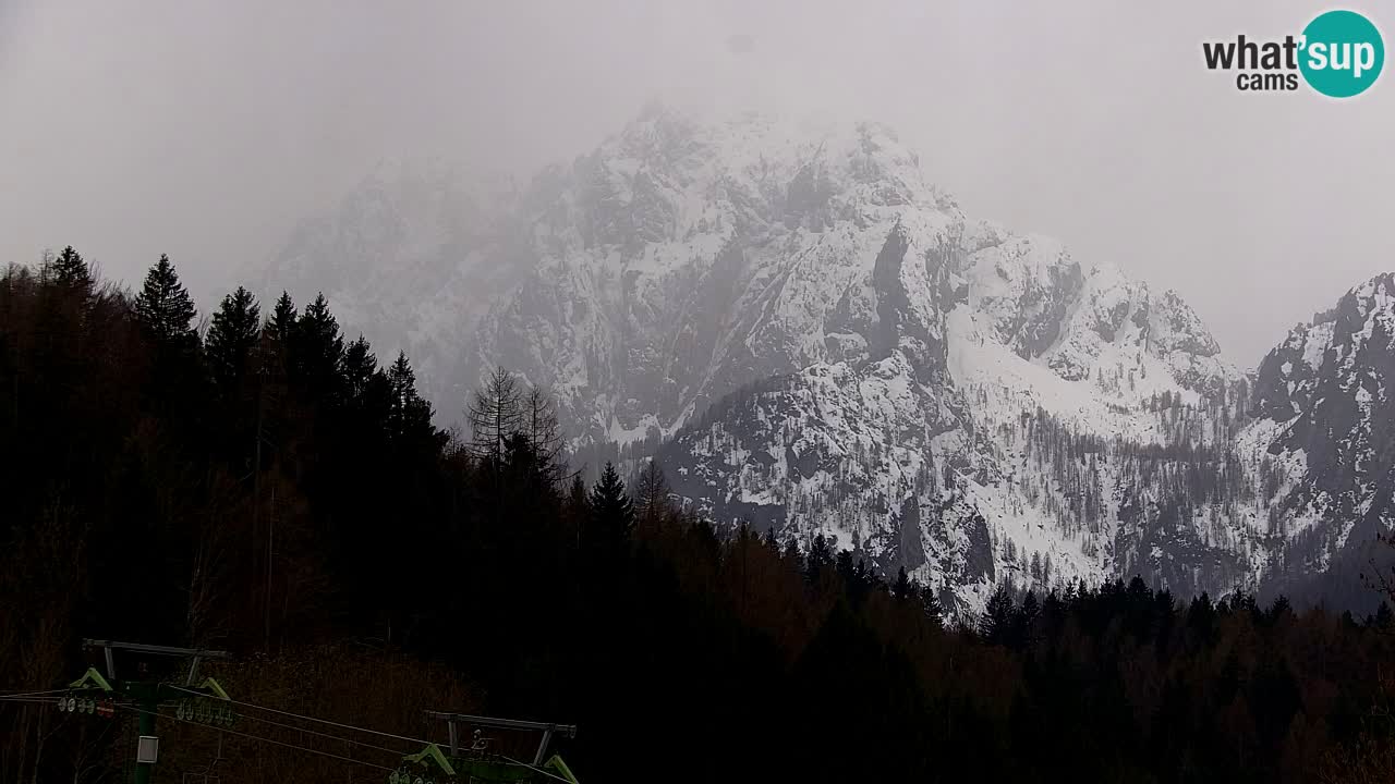 Estación de esquí Kranjska Gora | Velika Dolina