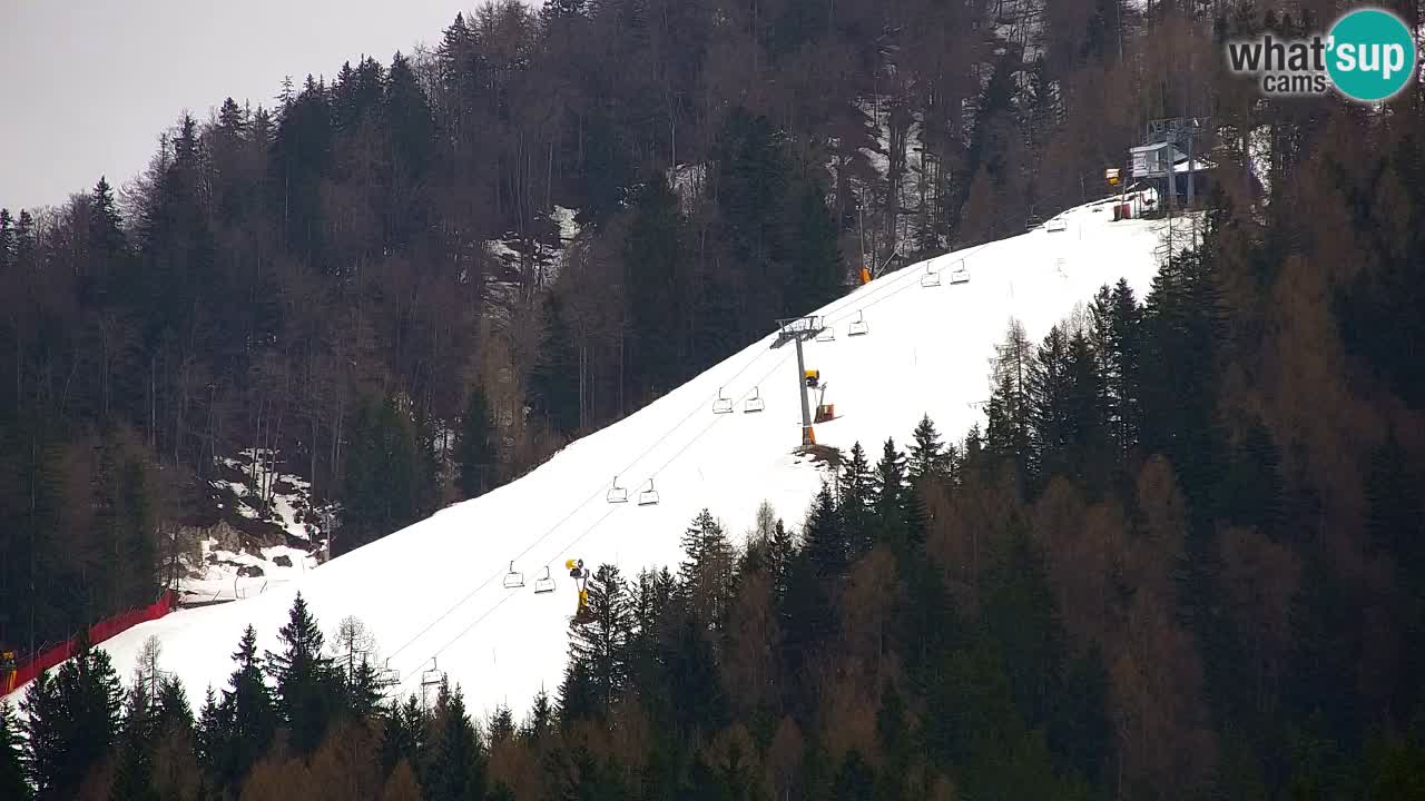 Skijanje Kranjska Gora | Velika Dolina
