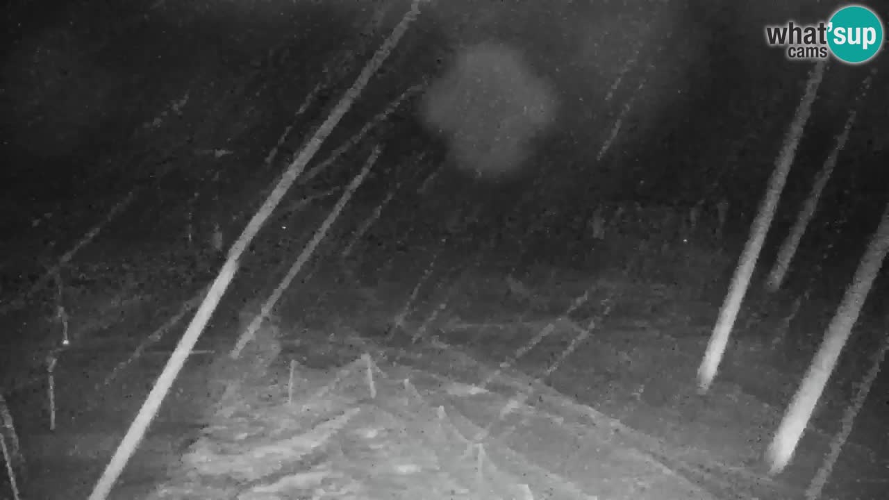 Skigebiet Kranjska Gora | Velika Dolina