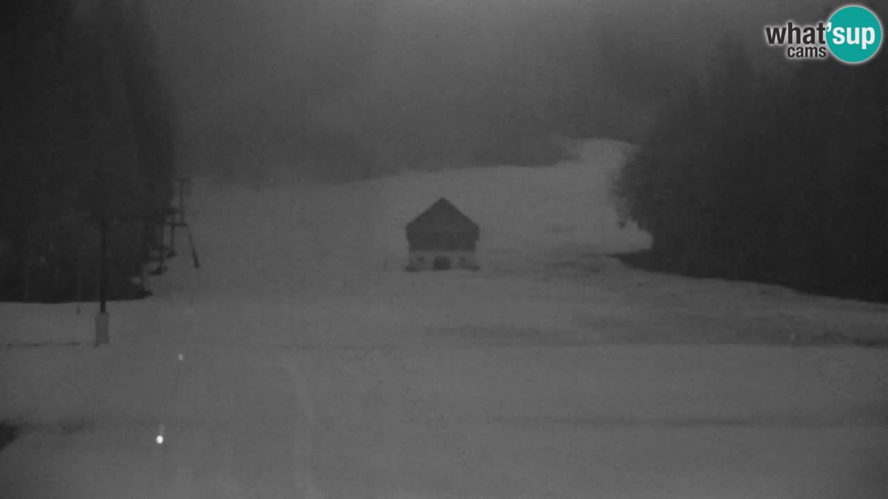 Ski Kranjska Gora | Velika Dolina