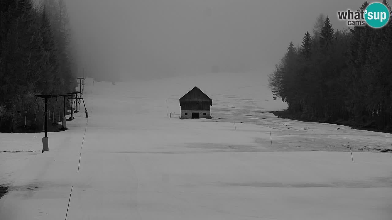 Estación de esquí Kranjska Gora | Velika Dolina