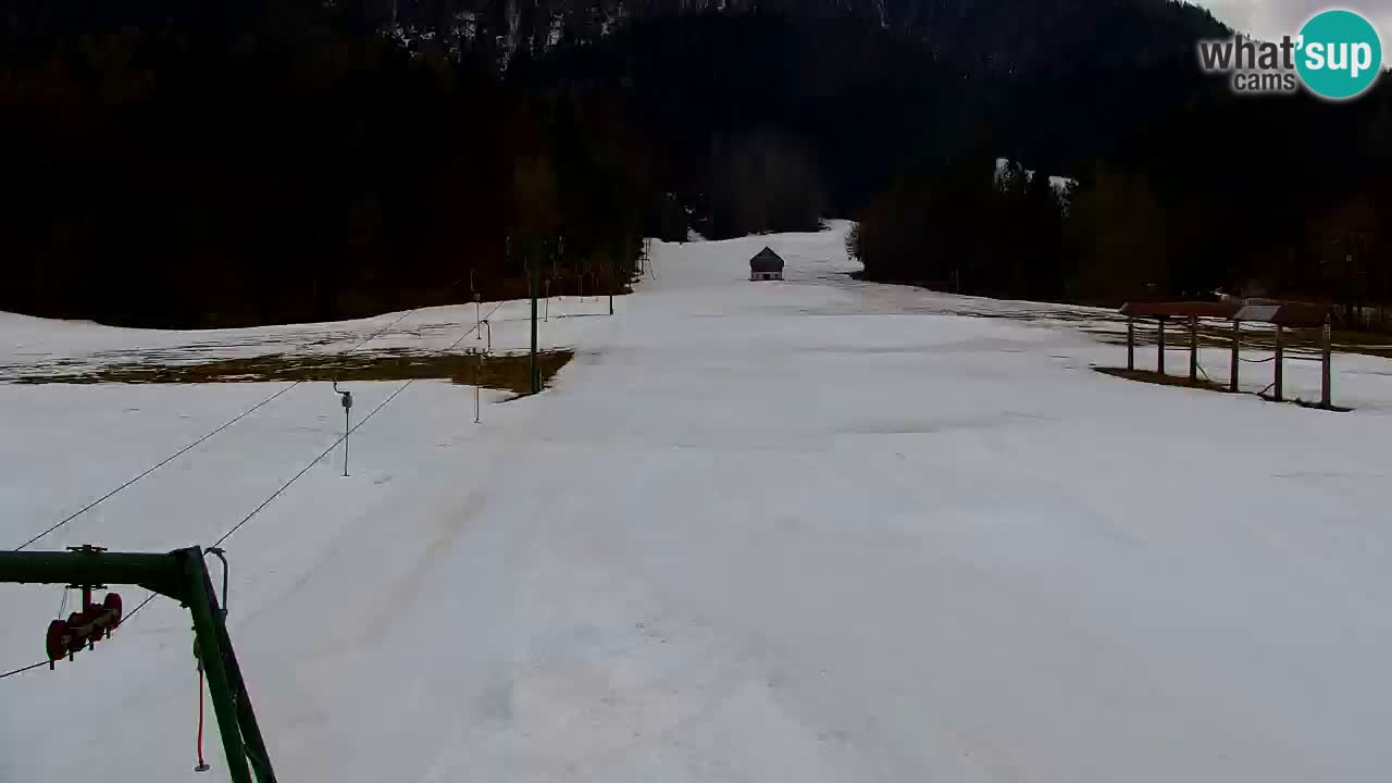 Ski Kranjska Gora | Velika Dolina