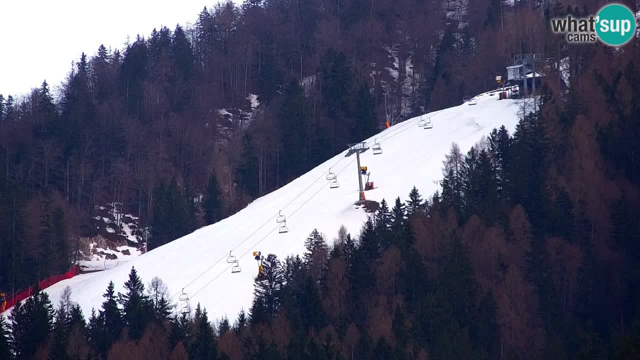 Skijanje Kranjska Gora | Velika Dolina