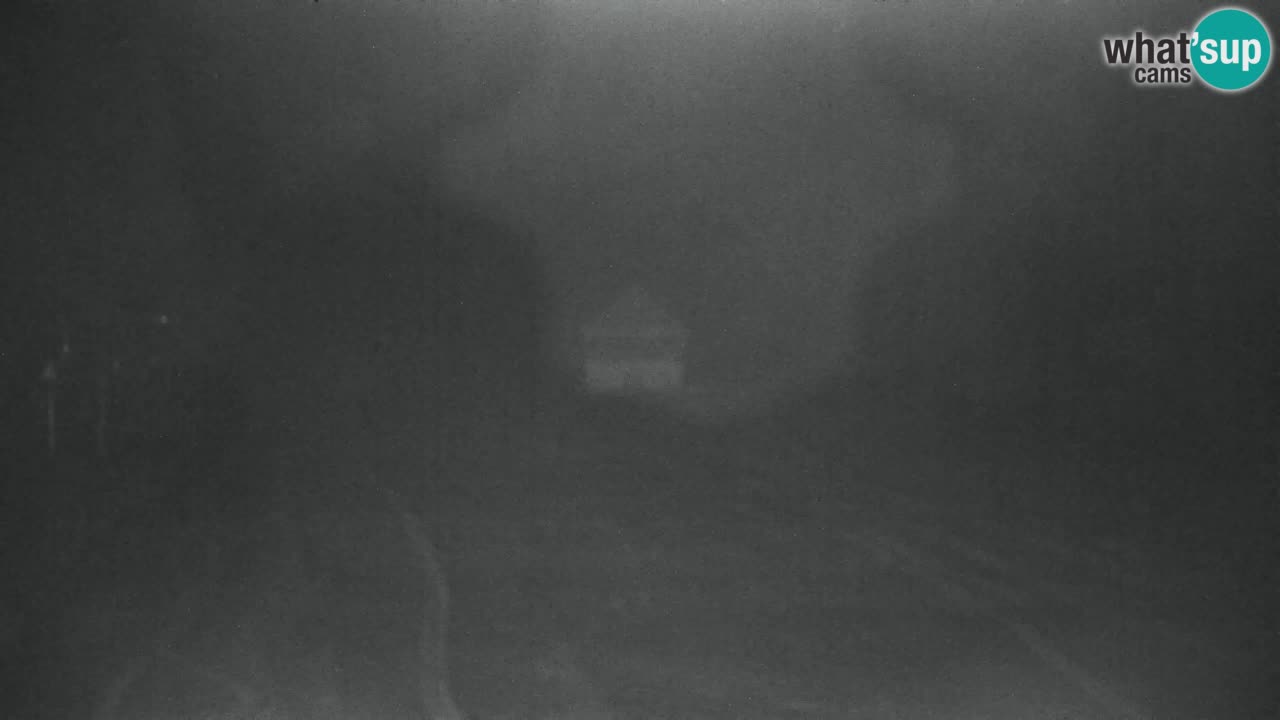 Ski Kranjska Gora | Velika Dolina